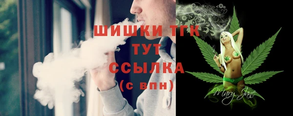 ECSTASY Елизово