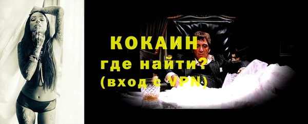 дмт Дмитров